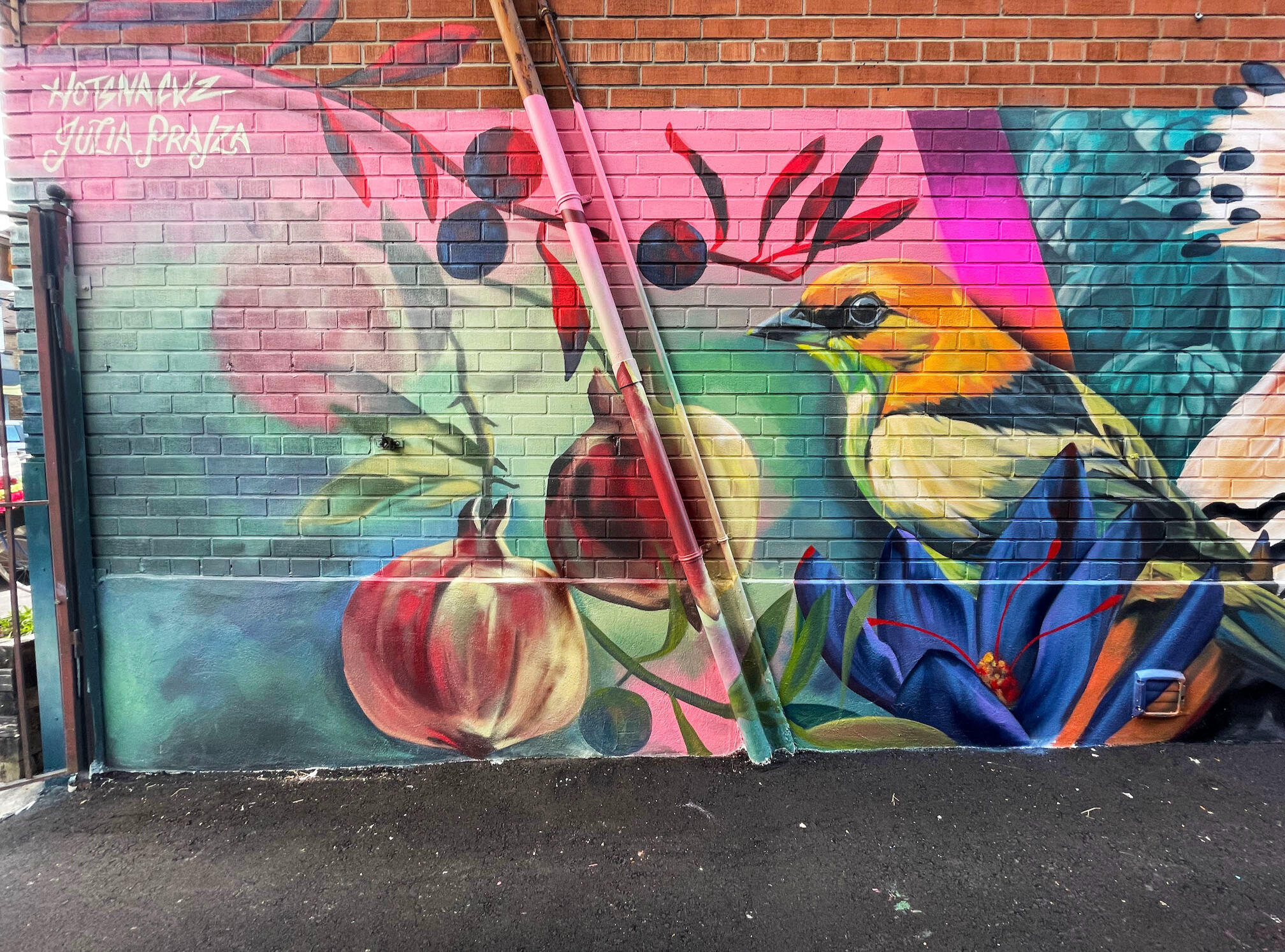 "Of Roots And Radiance" 367 Oakwood Ave, Toronto. Painted in collaboration with Julia Prajza for for Oakwood BIA. 2025