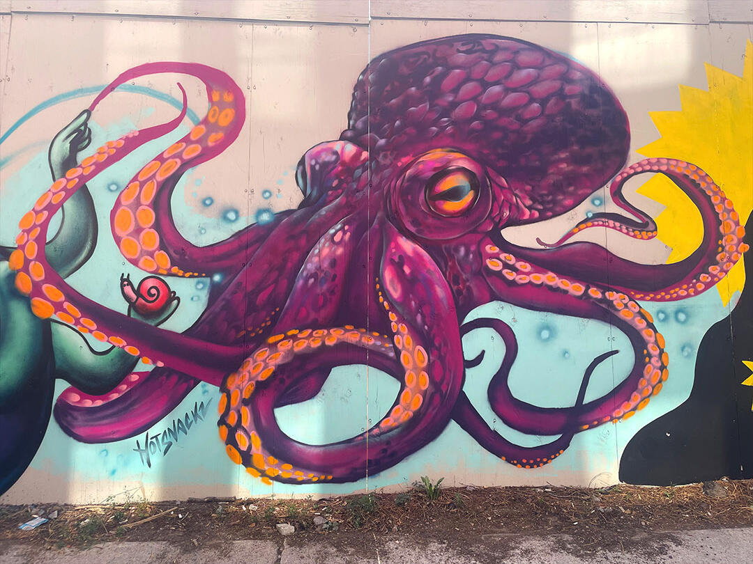 Purple Octo, laneway jam, Toronto. 2025