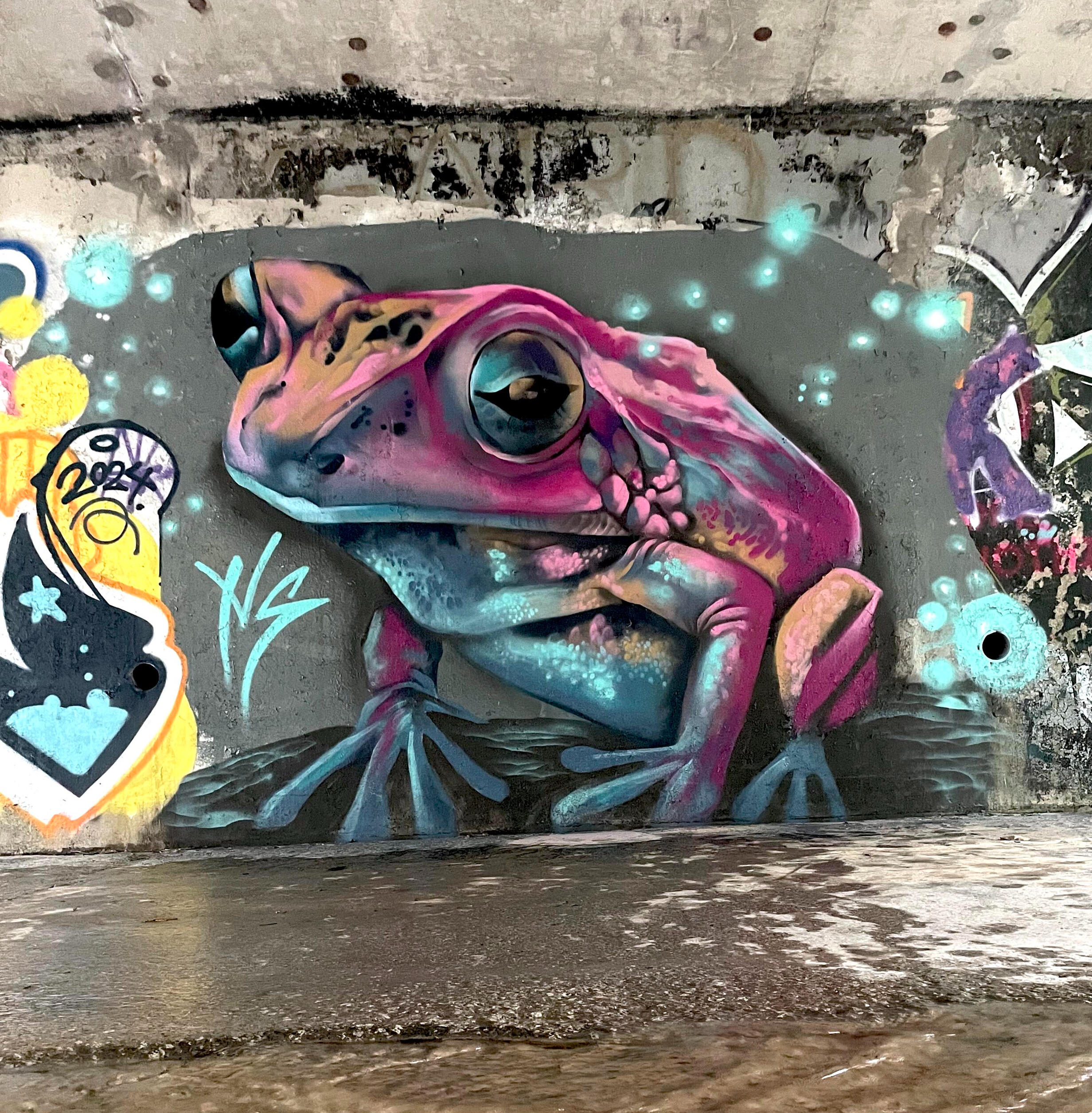 Rainy River Frog waterway mural, Toronto. 2024